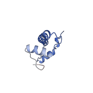 34053_7yrd_F_v2-0
histone methyltransferase