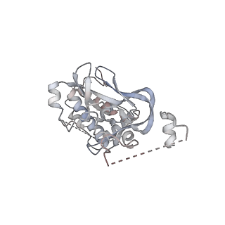 34053_7yrd_K_v1-1
histone methyltransferase
