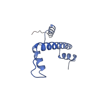 34055_7yrg_A_v1-0
histone methyltransferase