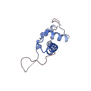 34055_7yrg_B_v1-0
histone methyltransferase