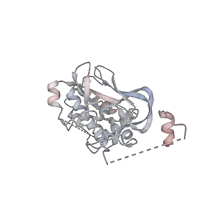 34055_7yrg_K_v1-0
histone methyltransferase