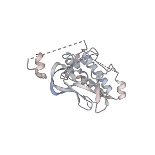 34055_7yrg_L_v1-0
histone methyltransferase