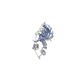 34063_7yrn_A_v1-0
Cyro-EM structure of HCMV glycoprotein B in complex with 1B03 Fab