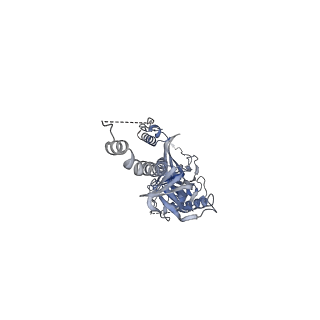34063_7yrn_B_v1-0
Cyro-EM structure of HCMV glycoprotein B in complex with 1B03 Fab