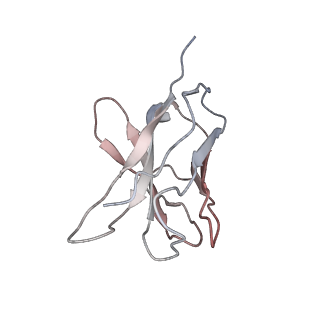 34063_7yrn_D_v1-0
Cyro-EM structure of HCMV glycoprotein B in complex with 1B03 Fab