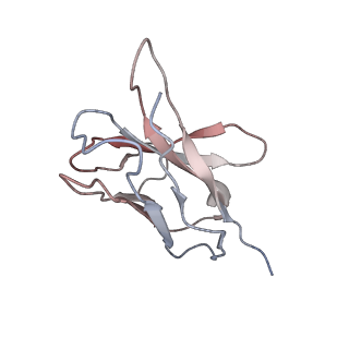 34063_7yrn_F_v1-0
Cyro-EM structure of HCMV glycoprotein B in complex with 1B03 Fab