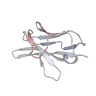 34063_7yrn_G_v1-0
Cyro-EM structure of HCMV glycoprotein B in complex with 1B03 Fab