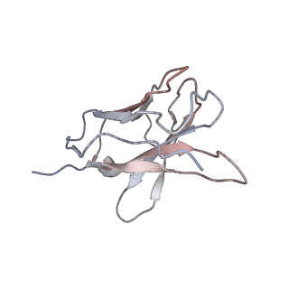 34063_7yrn_H_v1-0
Cyro-EM structure of HCMV glycoprotein B in complex with 1B03 Fab