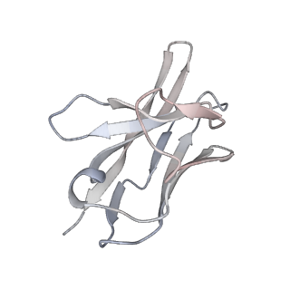 34063_7yrn_I_v1-0
Cyro-EM structure of HCMV glycoprotein B in complex with 1B03 Fab