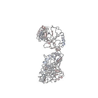 34065_7yrr_A_v1-0
Cryo-EM structure of IGF1R with two IGF1 complex