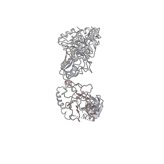 34065_7yrr_B_v1-0
Cryo-EM structure of IGF1R with two IGF1 complex