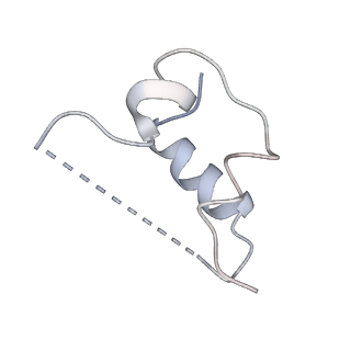 34065_7yrr_C_v1-0
Cryo-EM structure of IGF1R with two IGF1 complex
