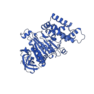 34066_7yry_A_v1-2
F1-ATPase of Acinetobacter baumannii