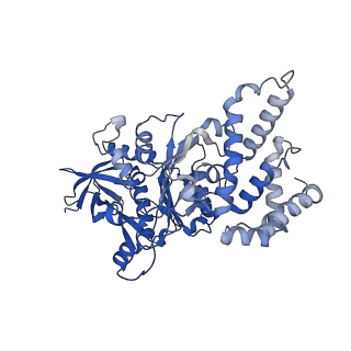 34066_7yry_B_v1-2
F1-ATPase of Acinetobacter baumannii