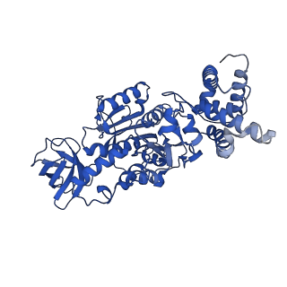 34066_7yry_C_v1-2
F1-ATPase of Acinetobacter baumannii
