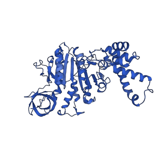 34066_7yry_D_v1-2
F1-ATPase of Acinetobacter baumannii