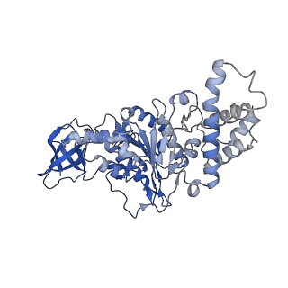 34066_7yry_E_v1-2
F1-ATPase of Acinetobacter baumannii