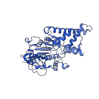 34066_7yry_F_v1-2
F1-ATPase of Acinetobacter baumannii