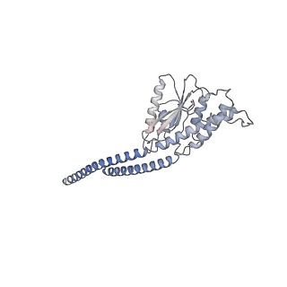 34066_7yry_g_v1-2
F1-ATPase of Acinetobacter baumannii
