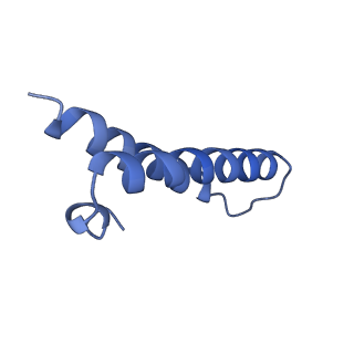 10891_6ys3_1_v1-0
Cryo-EM structure of the 50S ribosomal subunit at 2.58 Angstroms with modeled GBC SecM peptide