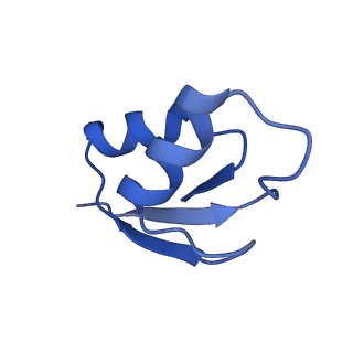 10891_6ys3_2_v1-0
Cryo-EM structure of the 50S ribosomal subunit at 2.58 Angstroms with modeled GBC SecM peptide