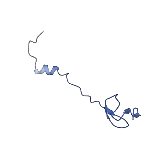 10891_6ys3_3_v1-0
Cryo-EM structure of the 50S ribosomal subunit at 2.58 Angstroms with modeled GBC SecM peptide