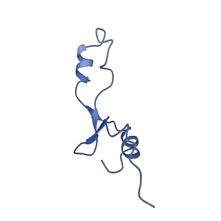 10891_6ys3_7_v1-0
Cryo-EM structure of the 50S ribosomal subunit at 2.58 Angstroms with modeled GBC SecM peptide