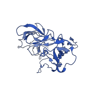 10891_6ys3_c_v1-0
Cryo-EM structure of the 50S ribosomal subunit at 2.58 Angstroms with modeled GBC SecM peptide