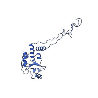 10891_6ys3_e_v1-0
Cryo-EM structure of the 50S ribosomal subunit at 2.58 Angstroms with modeled GBC SecM peptide