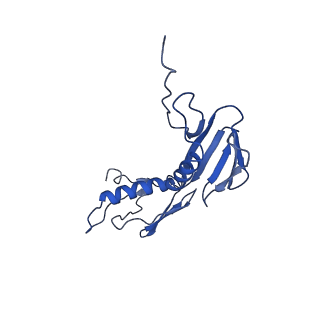 10891_6ys3_g_v1-0
Cryo-EM structure of the 50S ribosomal subunit at 2.58 Angstroms with modeled GBC SecM peptide