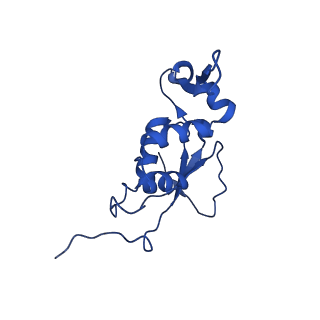 10891_6ys3_j_v1-0
Cryo-EM structure of the 50S ribosomal subunit at 2.58 Angstroms with modeled GBC SecM peptide