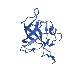 10891_6ys3_k_v1-0
Cryo-EM structure of the 50S ribosomal subunit at 2.58 Angstroms with modeled GBC SecM peptide
