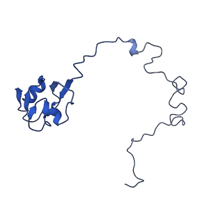 10891_6ys3_l_v1-0
Cryo-EM structure of the 50S ribosomal subunit at 2.58 Angstroms with modeled GBC SecM peptide