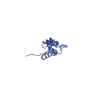 10891_6ys3_q_v1-0
Cryo-EM structure of the 50S ribosomal subunit at 2.58 Angstroms with modeled GBC SecM peptide