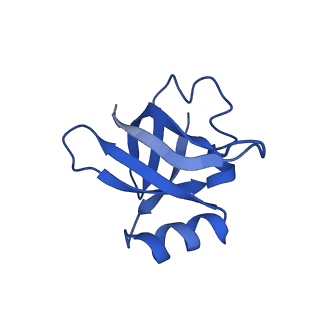 10891_6ys3_w_v1-0
Cryo-EM structure of the 50S ribosomal subunit at 2.58 Angstroms with modeled GBC SecM peptide