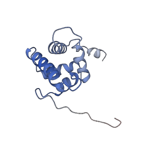 10892_6ys5_h_v1-1
Acinetobacter baumannii ribosome-amikacin complex - 30S subunit head