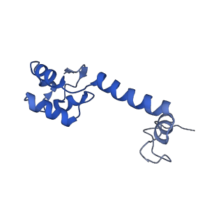 10892_6ys5_n_v1-1
Acinetobacter baumannii ribosome-amikacin complex - 30S subunit head
