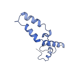 10892_6ys5_o_v1-1
Acinetobacter baumannii ribosome-amikacin complex - 30S subunit head