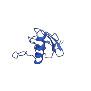10892_6ys5_t_v1-1
Acinetobacter baumannii ribosome-amikacin complex - 30S subunit head