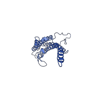 10893_6ys8_A_v1-0
Structure of GldLM, the proton-powered motor that drives protein transport and gliding motility