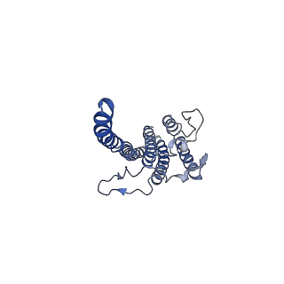 10893_6ys8_B_v1-0
Structure of GldLM, the proton-powered motor that drives protein transport and gliding motility