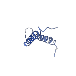 10893_6ys8_C_v1-0
Structure of GldLM, the proton-powered motor that drives protein transport and gliding motility
