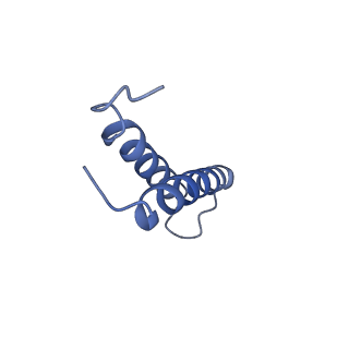 10893_6ys8_F_v1-0
Structure of GldLM, the proton-powered motor that drives protein transport and gliding motility