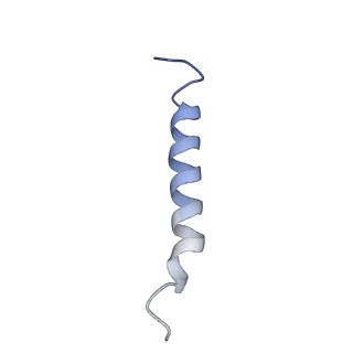 10895_6ysf_A_v1-2
Structure of the flagellar MotAB stator complex from Clostridium sporogenes