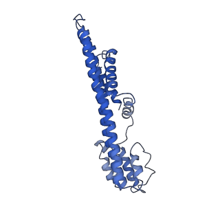10895_6ysf_C_v1-2
Structure of the flagellar MotAB stator complex from Clostridium sporogenes