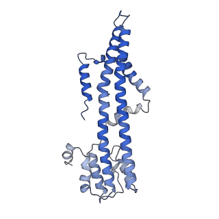 10895_6ysf_D_v1-2
Structure of the flagellar MotAB stator complex from Clostridium sporogenes