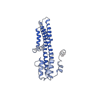 10895_6ysf_F_v1-2
Structure of the flagellar MotAB stator complex from Clostridium sporogenes