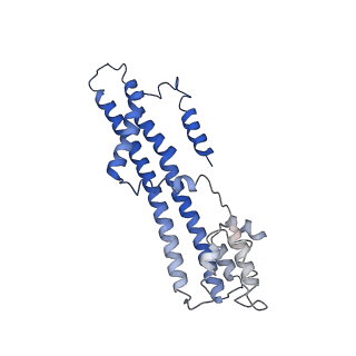 10895_6ysf_G_v1-2
Structure of the flagellar MotAB stator complex from Clostridium sporogenes