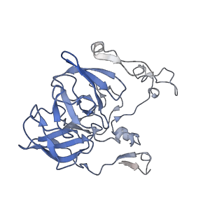10898_6ysi_A_v1-1
Acinetobacter baumannii ribosome-tigecycline complex - 50S subunit
