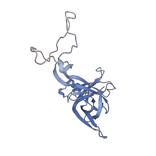 10898_6ysi_B_v1-1
Acinetobacter baumannii ribosome-tigecycline complex - 50S subunit